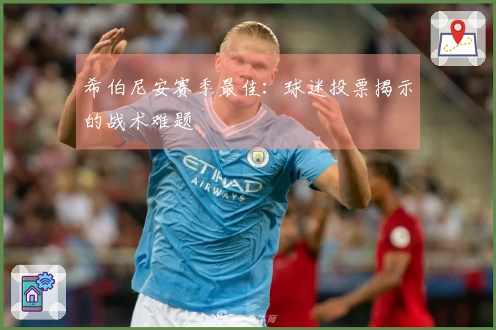 希伯尼安赛季最佳：球迷投票揭示的战术难题