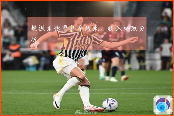 樊振东德甲首季结束，收入细致分析