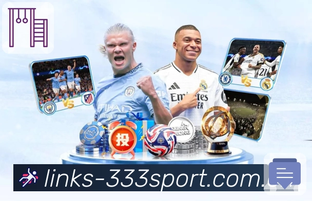 333体育平台展示图